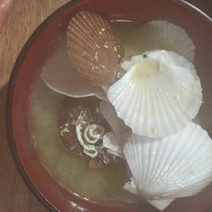 稚貝 ホタテの赤ちゃん の味噌汁 レシピ 作り方 By もっちんママ 楽天レシピ 稚貝 ホタテの赤ちゃん の味噌汁 レシピ 作り方 By もっちんママ 楽天レシピ